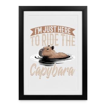 Funny Capybara - Framed poster (27 × 37 cm) - black - Front