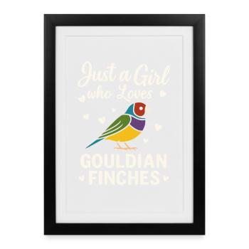 Gouldamadine A Girl who loves a Gouldian Finch - Framed poster (27 × 37 cm) - black - Front