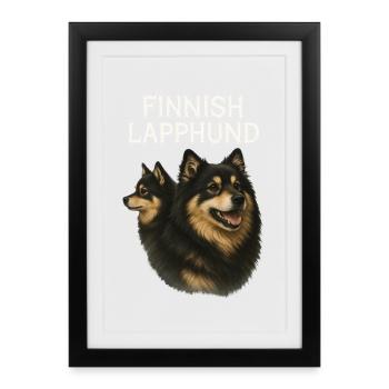 Laponie finlandaise - Affiche encadrée (27 × 37 cm) - noir - Devant
