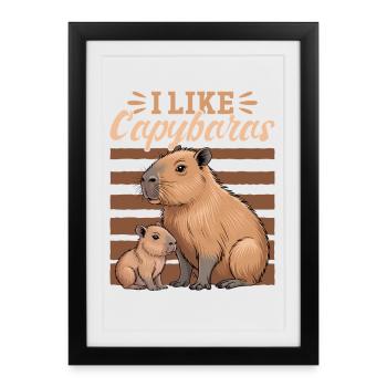 Esthétique amusante Kawaii Capybara - Affiche encadrée (27 × 37 cm) - noir - Devant