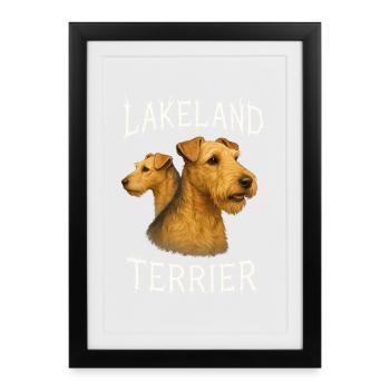 Lakeland Terrier - Affiche encadrée (27 × 37 cm) - noir - Devant