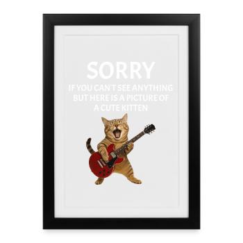 Festival, musique live, concert sarcastique - Affiche encadrée (27 × 37 cm) - noir - Devant