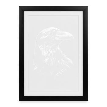 Raven, Crow, Bird, Raven Crow, Jackdaw, Black Raven - Framed poster (27 × 37 cm) - black - Front