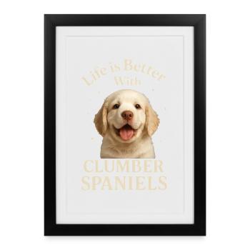 Clumber Spaniel - Framed poster (27 × 37 cm) - black - Front