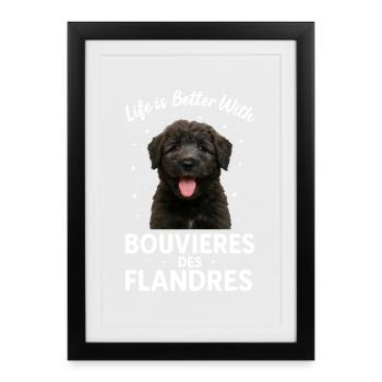 Bouvier des Flandres - Affiche encadrée (27 × 37 cm) - noir - Devant