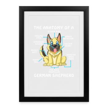 Anatomie d’un berger allemand - Affiche encadrée (27 × 37 cm) - noir - Devant