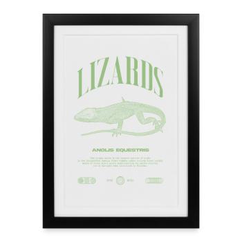 Chevalier cubain Anole Gardien de reptiles Lézard - Affiche encadrée (27 × 37 cm) - noir - Devant