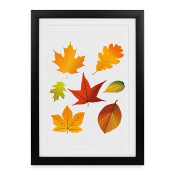 Feuilles d’automne - Affiche encadrée (27 × 37 cm) - noir - Devant