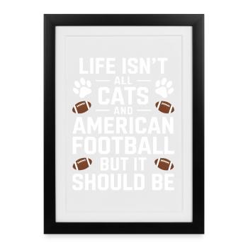 Football Dire Chats Drôle Football Cadeau - Affiche encadrée (27 × 37 cm) - noir - Devant