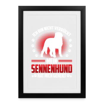 Sennenhund heilt mich Schweizer Sennenhund - Gerahmtes Poster (27 × 37 cm) - Schwarz - Vorne