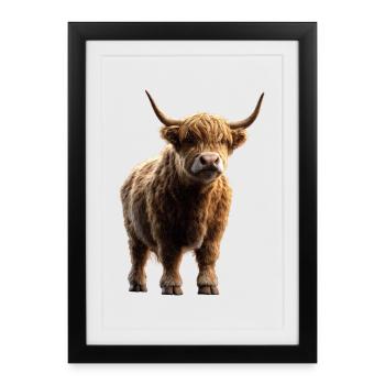 Vache Highland Vache Highland Bovins Bovins Vaches d’élevage - Affiche encadrée (27 × 37 cm) - noir - Devant