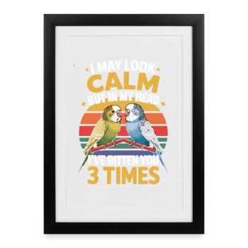 Budgie Saying I May Look Calm But In My - Framed poster (27 × 37 cm) - black - Front