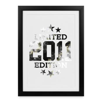 LIMITED EDITION 2011 15TH BIRTHDAY - Framed poster (27 × 37 cm) - black - Front