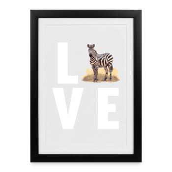 Zebras Zebra - Framed poster (27 × 37 cm) - black - Front