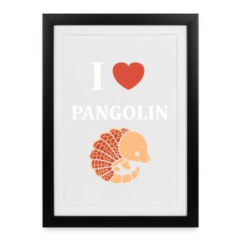I love pangolins - Framed poster (27 × 37 cm) - black - Front