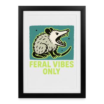 Feral Vibes Only Possum Humour Citation Tee - Affiche encadrée (27 × 37 cm) - noir - Devant
