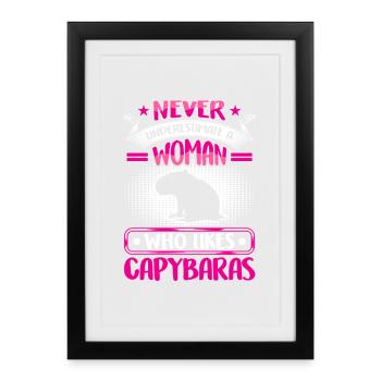 Le capybara sous-estime le capybara - Affiche encadrée (27 × 37 cm) - noir - Devant