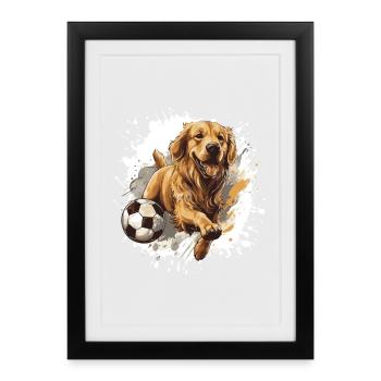 Golden Retriever Chien Football Sport - Affiche encadrée (27 × 37 cm) - noir - Devant