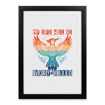 Pic d’ivoire Ma vie sera à bec d’ivoire - Affiche encadrée (27 × 37 cm) - noir - Devant