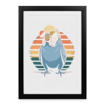 Colorful budgie - Framed poster (27 × 37 cm) - black - Front