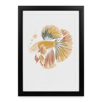 Betta Couleur Explosion Poisson - Affiche encadrée (27 × 37 cm) - noir - Devant