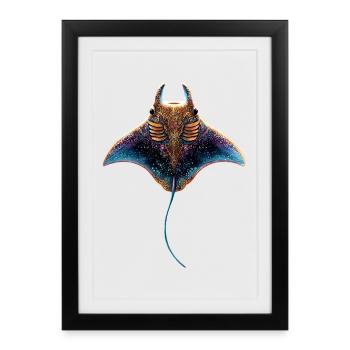 Manta Ray, Devil Ray, Stingray, Diver - Framed poster (27 × 37 cm) - black - Front