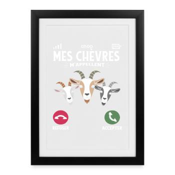 Mes chèvres m’appellent humour fermier et élevage - Affiche encadrée (27 × 37 cm) - noir - Devant