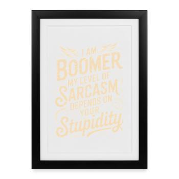Sarcasme boomer disant conception de chemise - Affiche encadrée (27 × 37 cm) - noir - Devant