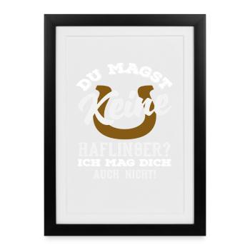 Haflinger poney équitation cheval amour race de cheval - Affiche encadrée (27 × 37 cm) - noir - Devant