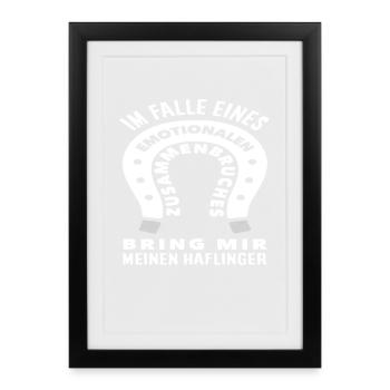 Cheval Amour Animal Cheval Haflinger Balade à poney - Affiche encadrée (27 × 37 cm) - noir - Devant