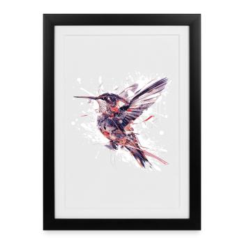 Aquarell Kolibri Spritzer - Gerahmtes Poster (27 × 37 cm) - Schwarz - Vorne