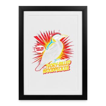 Pic ivoire Ornithologue - Affiche encadrée (27 × 37 cm) - noir - Devant