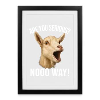 Chèvre Élevage Chèvre Éleveur de chèvres - Êtes-vous sérieux - Affiche encadrée (27 × 37 cm) - noir - Devant