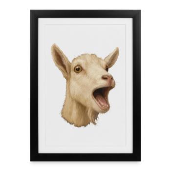 Chèvre Élevage Chèvre Agriculteur Chèvre Tête de Chèvre - Affiche encadrée (27 × 37 cm) - noir - Devant