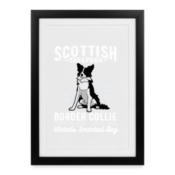 Chien de berger écossais Border Collie Chien Maman Chien Papa - Affiche encadrée (27 × 37 cm) - noir - Devant