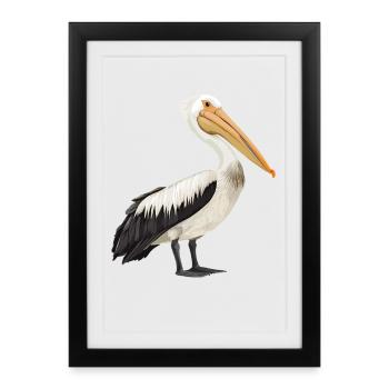 Pelicans Pelican - Framed poster (27 × 37 cm) - black - Front
