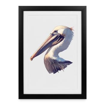Pelicans Pelican - Framed poster (27 × 37 cm) - black - Front