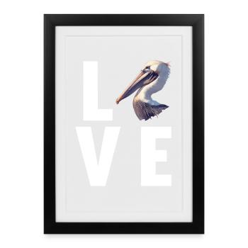 Pelicans Pelican - Framed poster (27 × 37 cm) - black - Front
