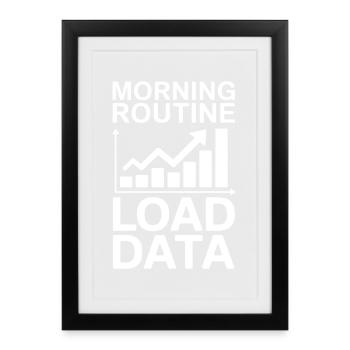 Data Analyst Saying Funny Data Analyst Gift - Framed poster (27 × 37 cm) - black - Front