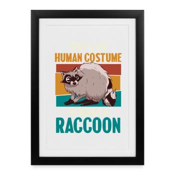 raton laveur Costume humain Humour - Affiche encadrée (27 × 37 cm) - noir - Devant