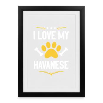 J’adore mon bichon havanais - Affiche encadrée (27 × 37 cm) - noir - Devant