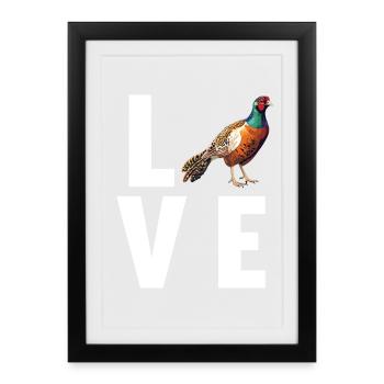 Faisans Faisan - Affiche encadrée (27 × 37 cm) - noir - Devant