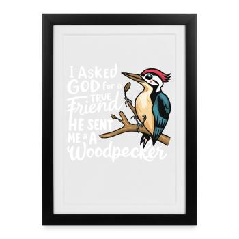Conception d’amoureux des oiseaux - Affiche encadrée (27 × 37 cm) - noir - Devant