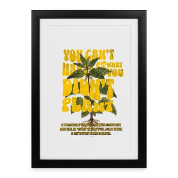 Vous ne pouvez pas récolter ce que vous n’avez pas planté - Affiche encadrée (27 × 37 cm) - noir - Devant