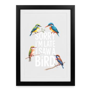 Sorry I'm Late I Saw A Bird Birdwatching - Framed poster (27 × 37 cm) - black - Front