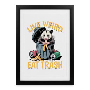 Drôle d’opossum - Affiche encadrée (27 × 37 cm) - noir - Devant