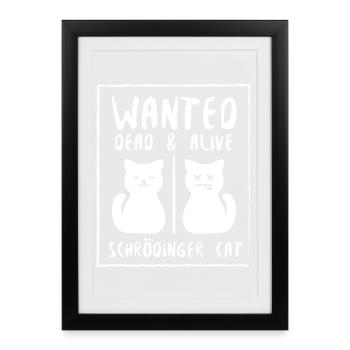 Schrödinger's cat - Framed poster (27 × 37 cm) - black - Front