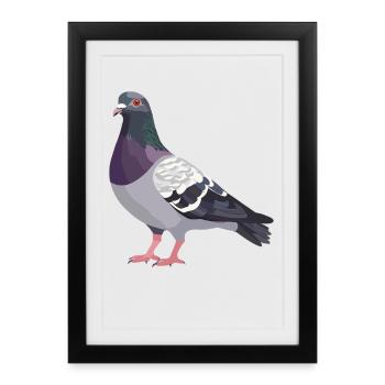 Pigeons Pigeon - Affiche encadrée (27 × 37 cm) - noir - Devant