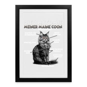 Drôle de Maine Coon T | Anatomie du Maine Coon - Affiche encadrée (27 × 37 cm) - noir - Devant