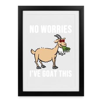 Élevage de chèvres nubien, élevage de chèvres, animal en peluche - Affiche encadrée (27 × 37 cm) - noir - Devant